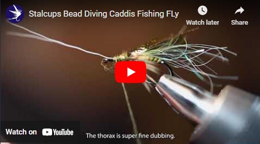 Tying Stalcup's Bead Diving Caddis Fishing Fly
